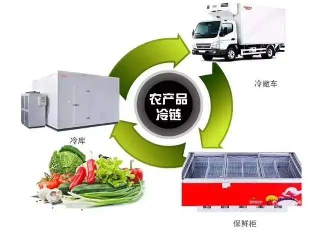 农产品冷链物流 冷藏冷冻食品的关键项目和内容